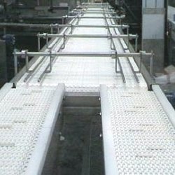 bespoke large plastic belt conveyor system